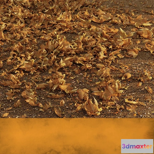 1607120 - decoration - Dead Leaves 3D Max