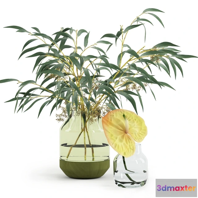 1607122 - decoration - Eucalyptus&Anthurium 3D Max