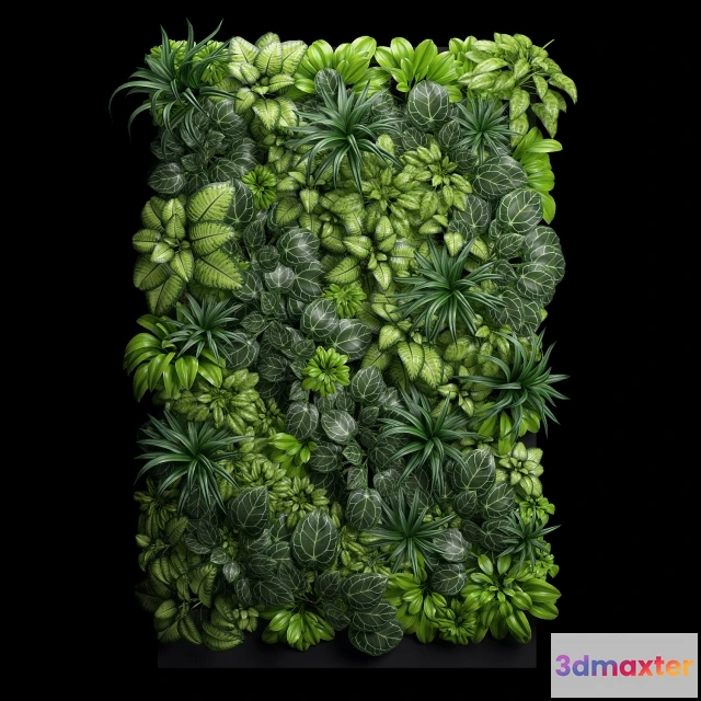 1607124 - decoration - Fitostena 3D Max