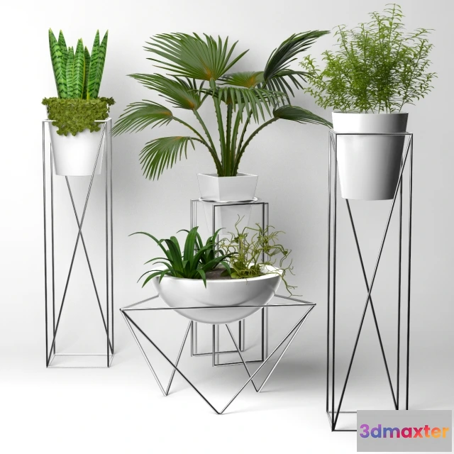 1607128 - decoration - Collection of plants 3D Max