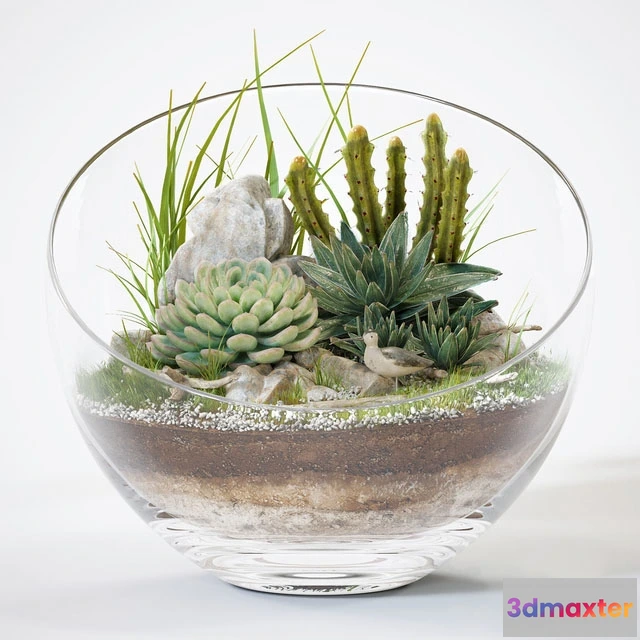 1607146 - decoration - Florarium 3D Max