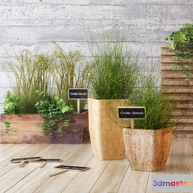 1607162 - decoration - Planter set 3D Max