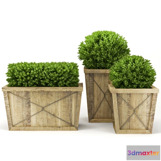 1607194 - decoration - Collection of plants 3D Max