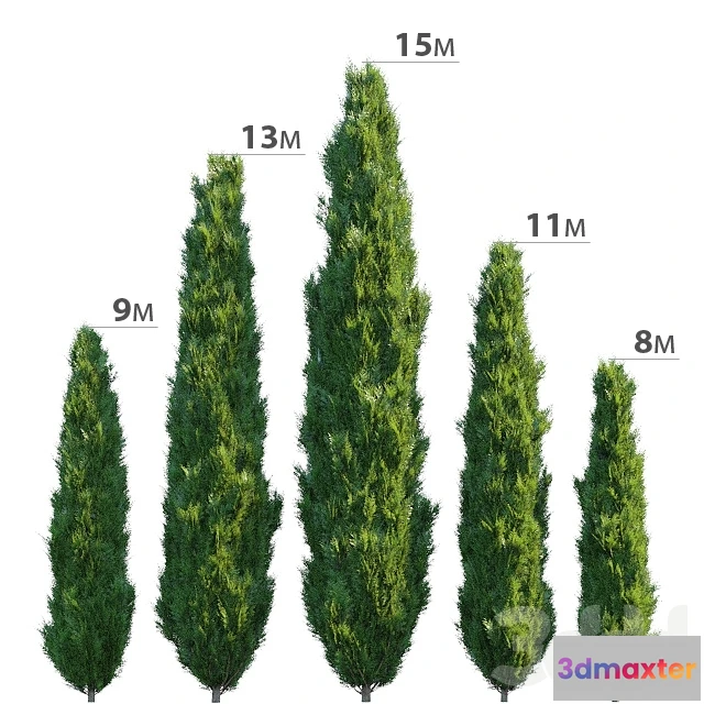 1607196 - decoration - Cypress 3D Max