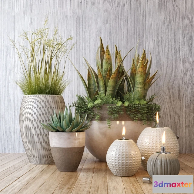 1607198 - decoration - Plant set 3D Max