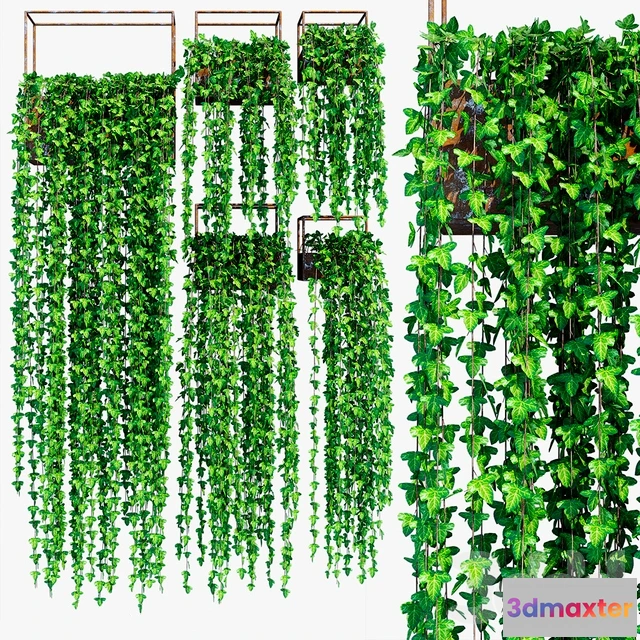 1607206 - decoration - Cube shelves 3D Max