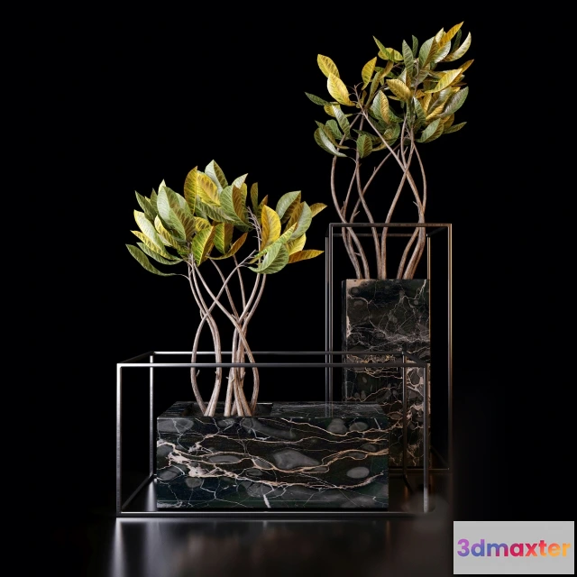 1607208 - decoration - Croton trees 3D Max
