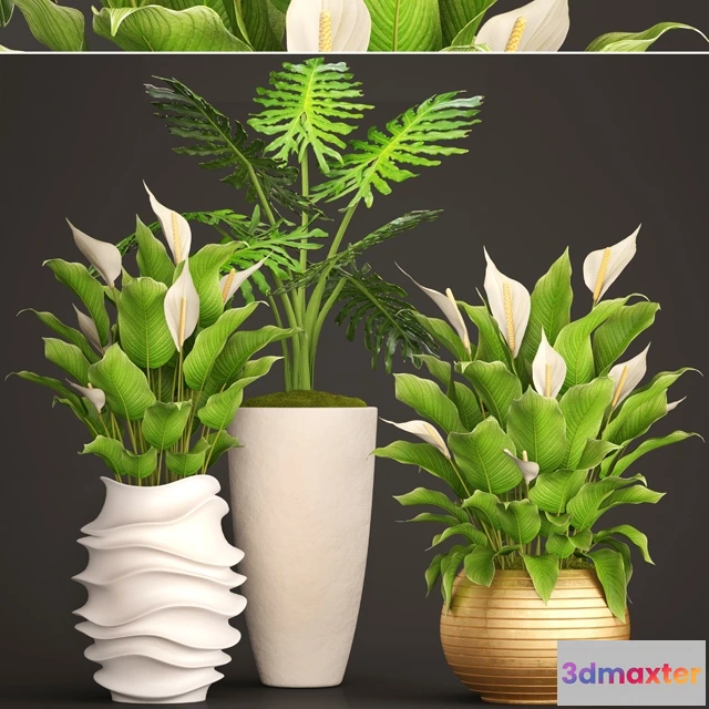 1607214 - decoration - Collection of plants 3D Max
