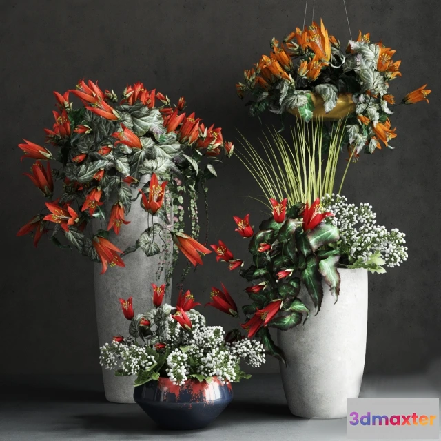 1607224 - decoration - Collection of Confetti 3D Max