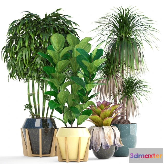 1607242 - decoration - Collection of plants 3D Max