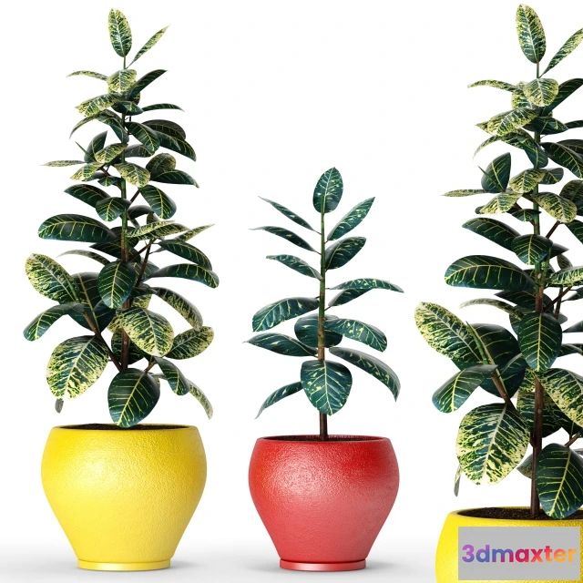 1607266 - decoration - Collection of plants 3D Max