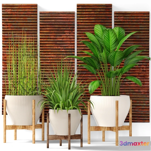 1607272 - decoration - Collection of plants 3D Max