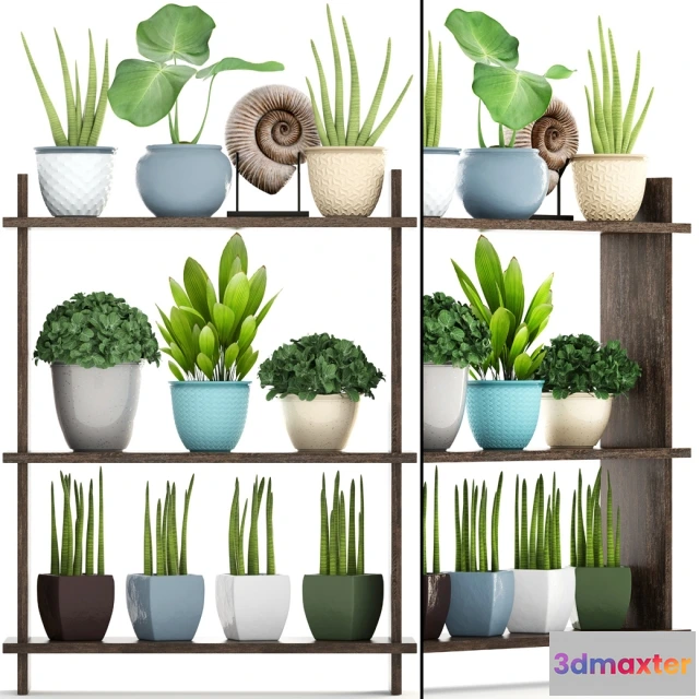 1607286 - decoration - Collection of plants 3D Max