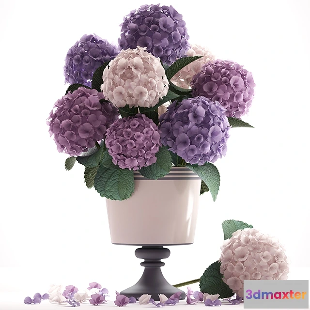 1607302 - decoration - Collection of flowers 3D Max