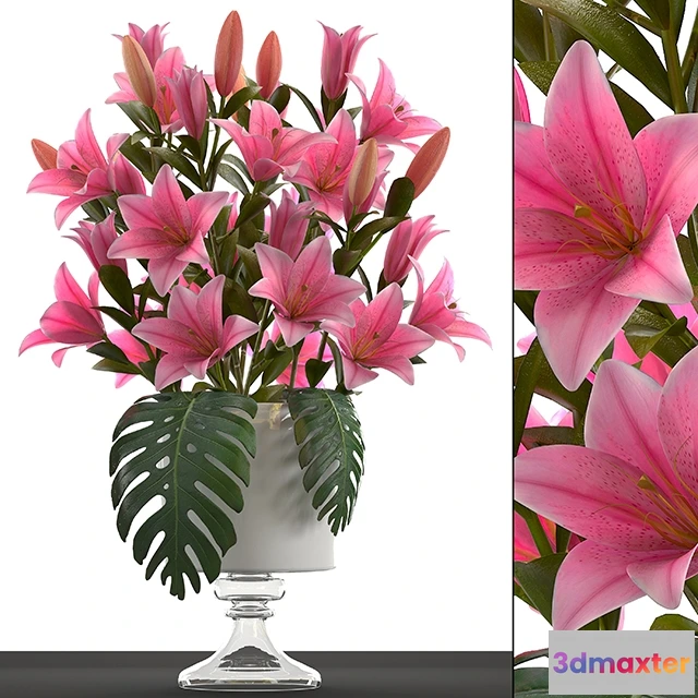 1607304 - decoration - Collection of flowers 3D Max