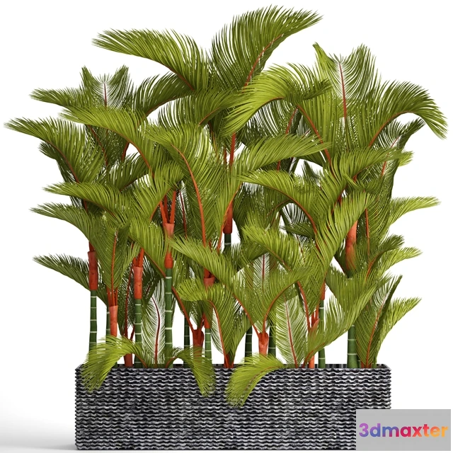 1607310 - decoration - Collection of plants 3D Max