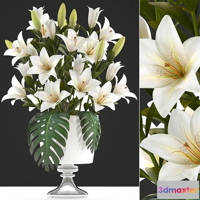 1607320 - decoration - Collection of flowers 3D Max