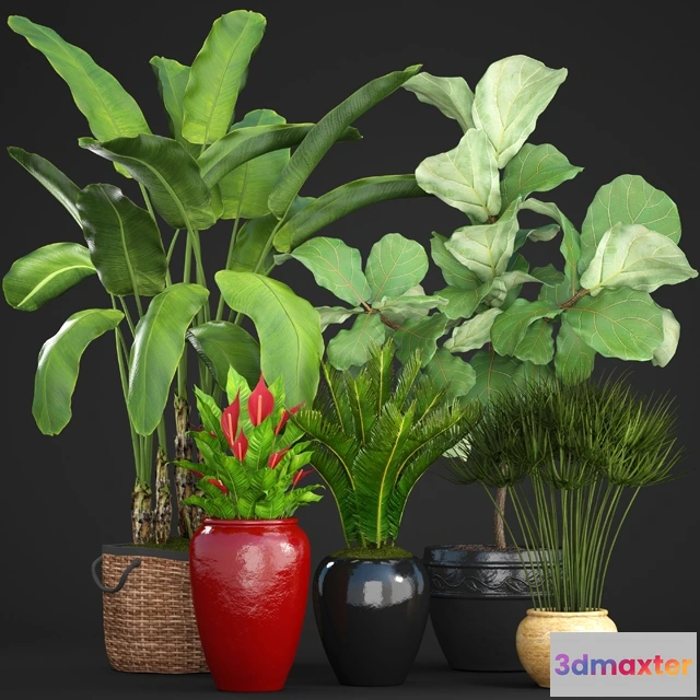 1607330 - decoration - Collection of plants 3D Max