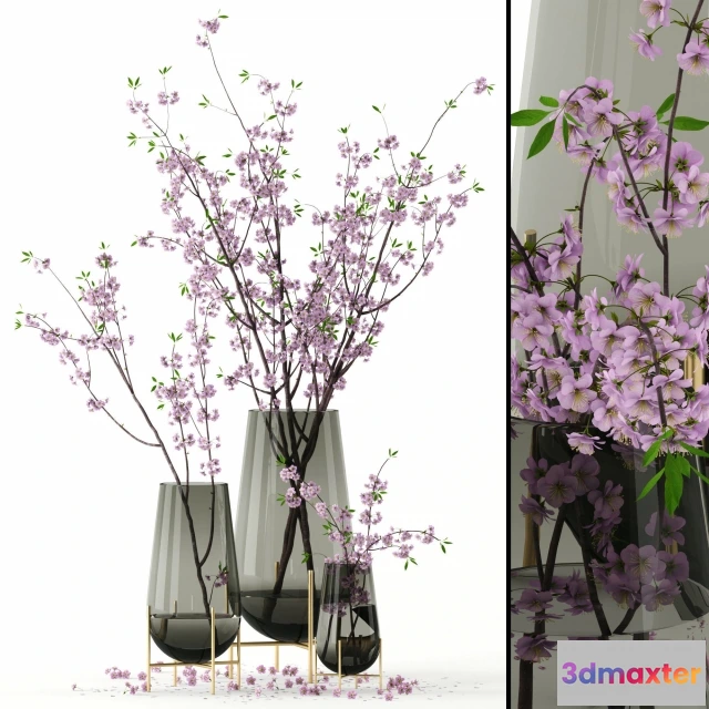 1607344 - decoration - Cherry blossom 3D Max