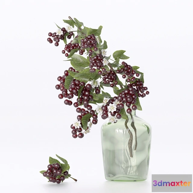 1607348 - decoration - Cherubishnia 3D Max