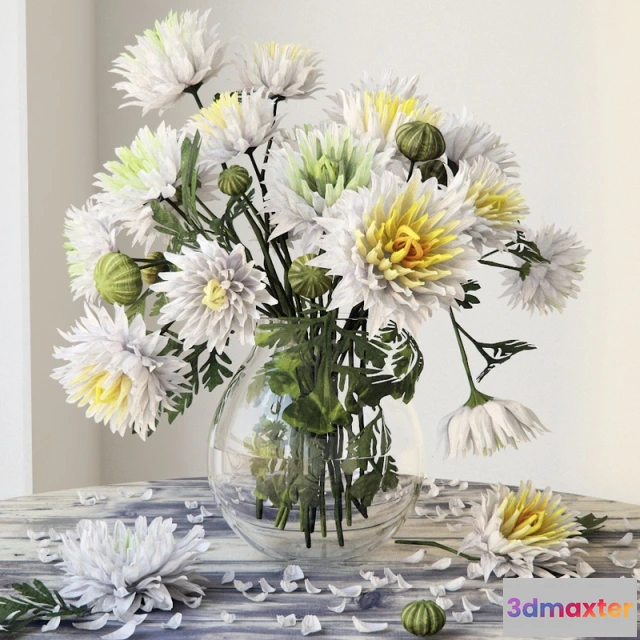 1607364 - decoration - Chrysanthemums 3D Max