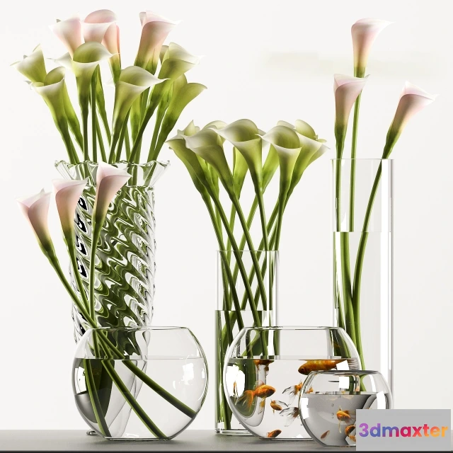 1607380 - decoration - Calla lilies 3D Max