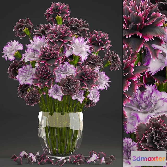 1607382 - decoration - Carnation 3D Max