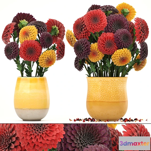 1607386 - decoration - Dahlias 3D Max