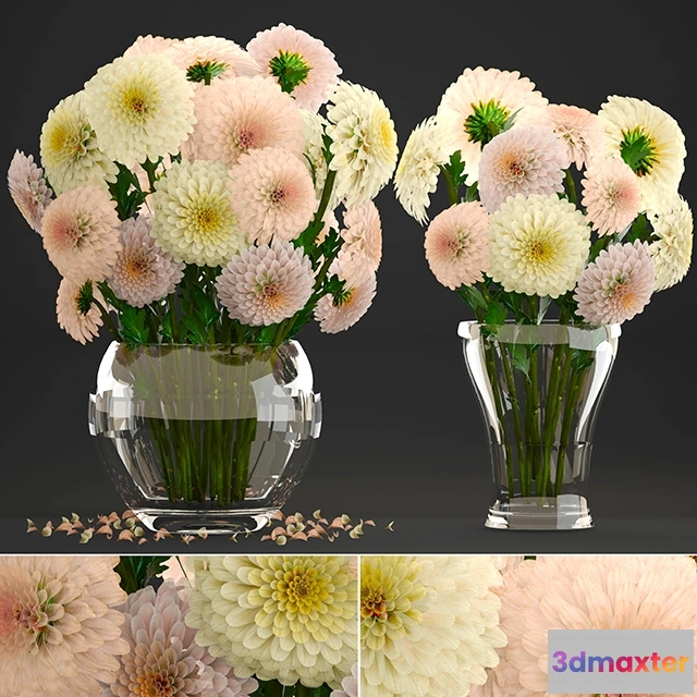 1607388 - decoration - Dahlias 3D Max