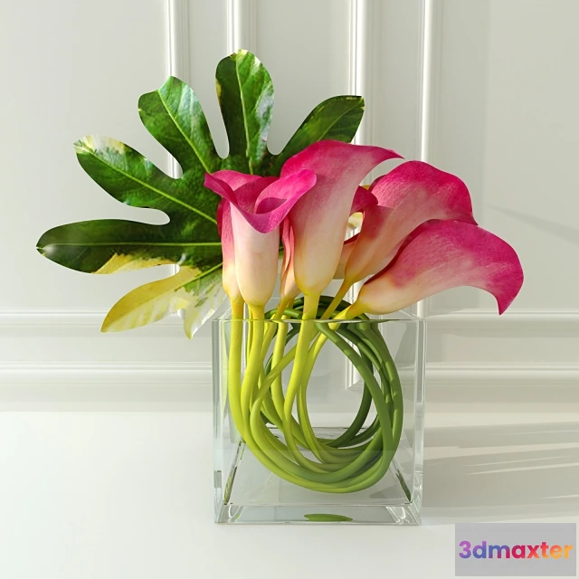 1607398 - decoration - Calla lilies 3D Max