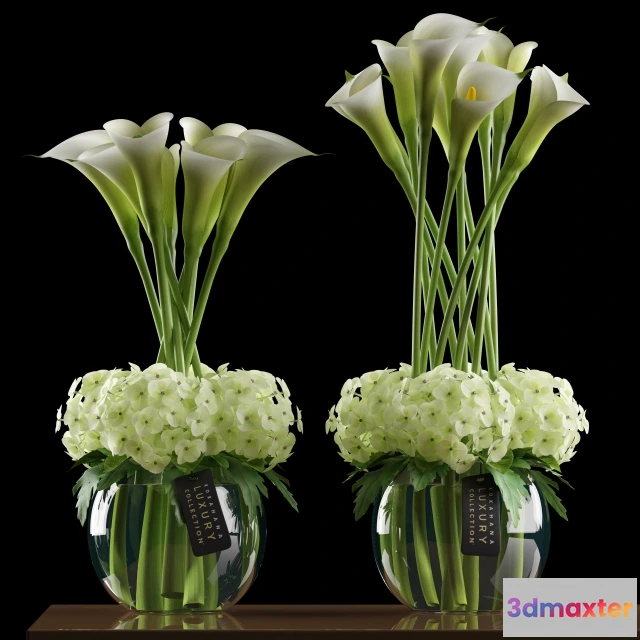 1607400 - decoration - Calla lilies 3D Max