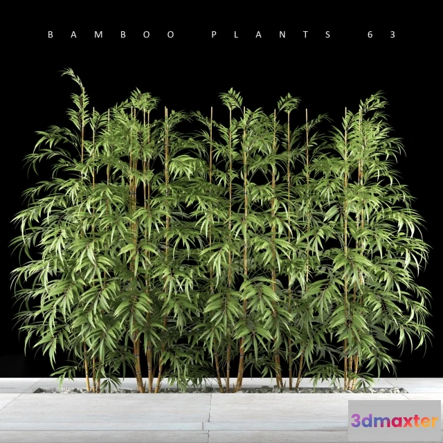 1607412 - decoration - BAMBOO PLANTS 63 3D Max