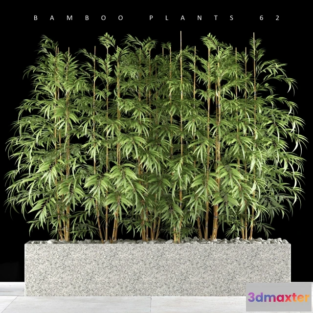 1607414 - decoration - BAMBOO PLANTS 62 3D Max