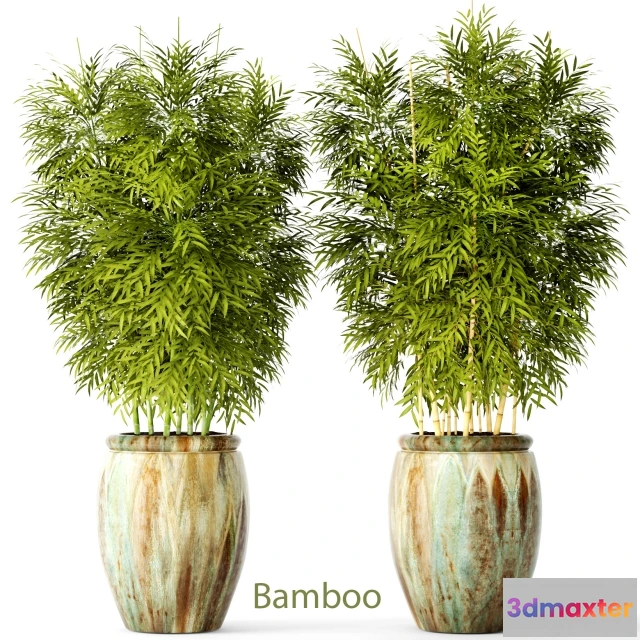 1607422 - decoration - Bamboo set 2 3D Max