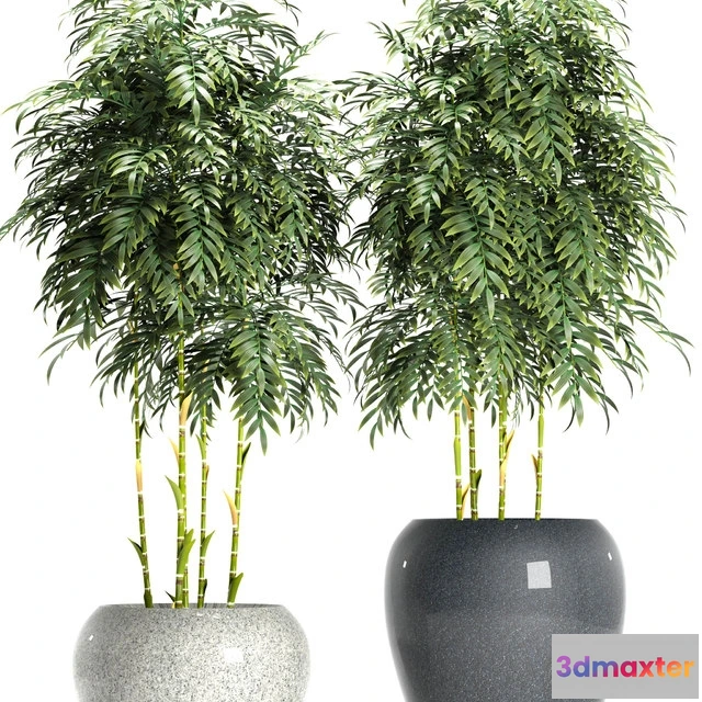 1607426 - decoration - BAMBOO PLANTS 96 3D Max