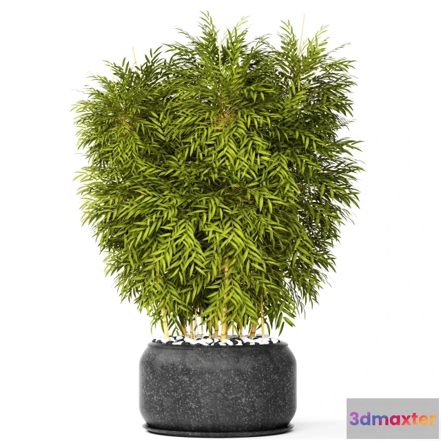 1607428 - decoration - Bamboo 3D Max