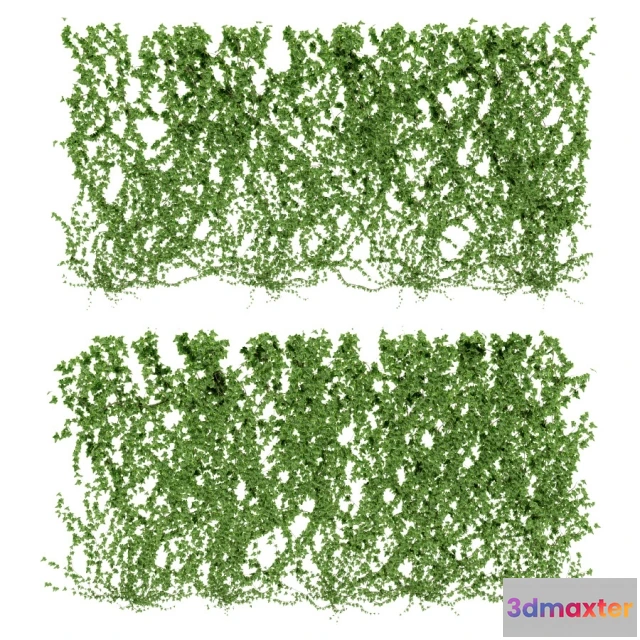 1607434 - decoration - Ivy leaf wall v4 3D Max