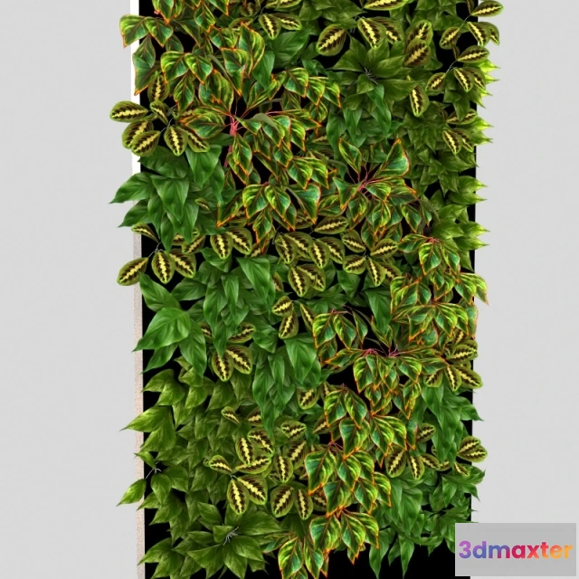1607446 - decoration - фитостена 3D Max