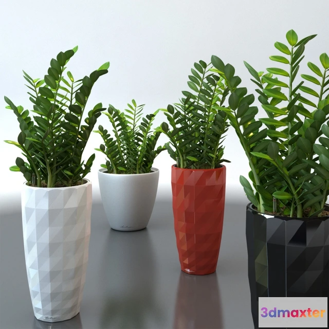 1607460 - decoration - plant 3D Max