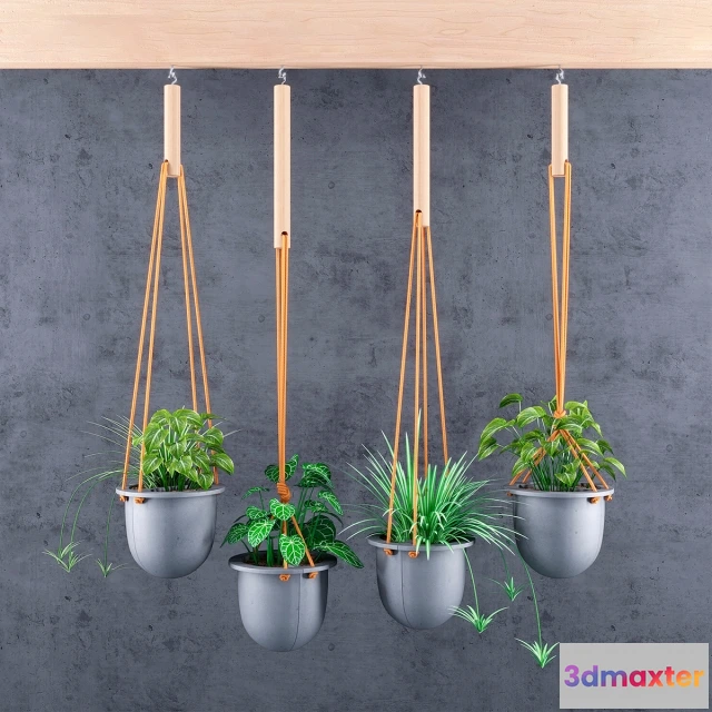 1607462 - decoration - plant 3D Max