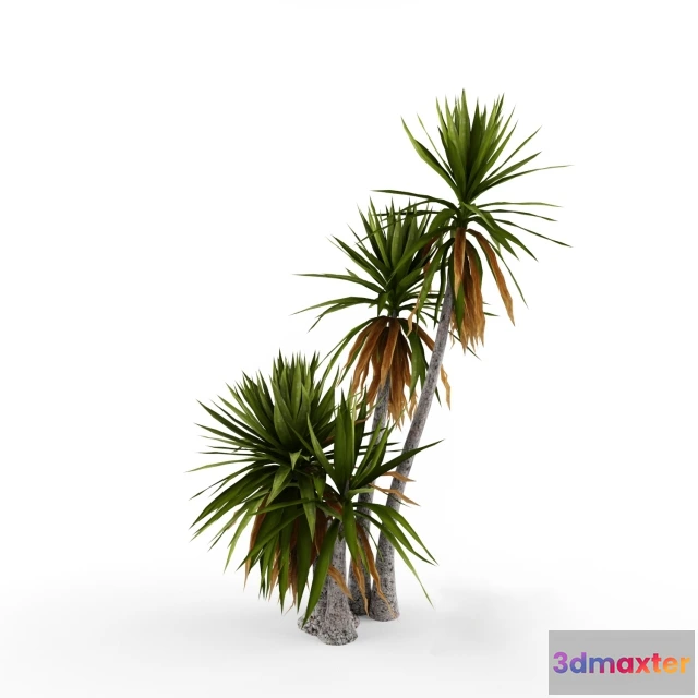 1607464 - decoration - plant 3D Max