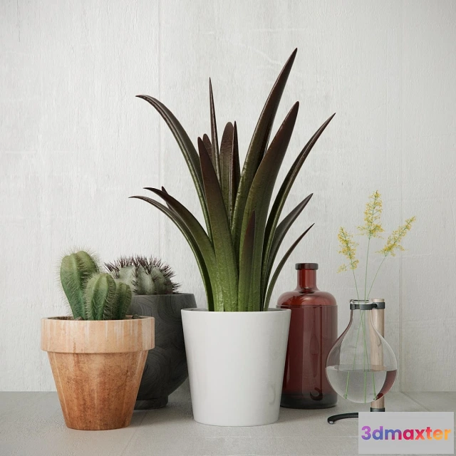 1607498 - decoration - greens_set 3D Max