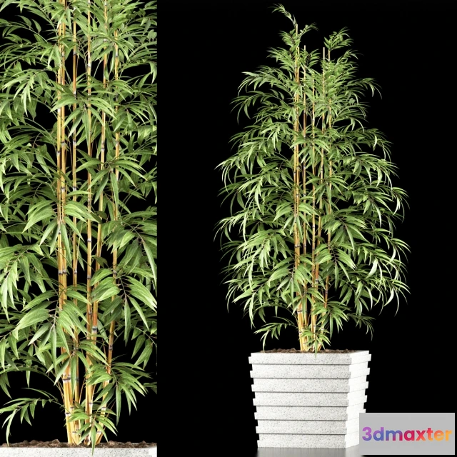 1607500 - decoration - PLANTS 61 3D Max