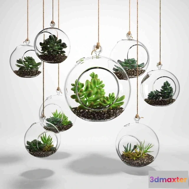 1607506 - decoration - sedum 3D Max