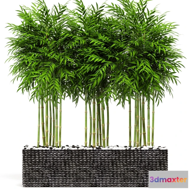 1607518 - decoration - Bamboo 20 3D Max