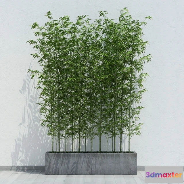 1607524 - decoration - Plant_32 3D Max