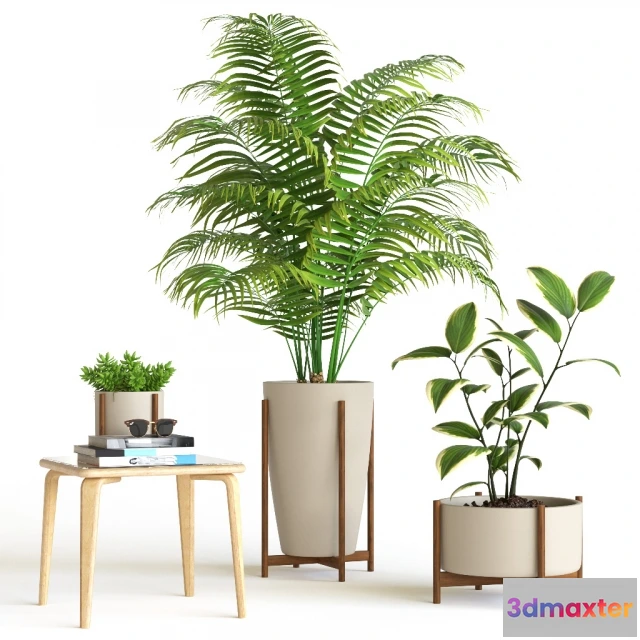 1607538 - decoration - Plant set 5 3D Max