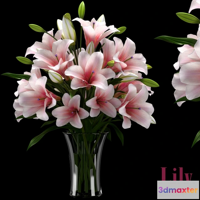 1607540 - decoration - LILY 2 3D Max