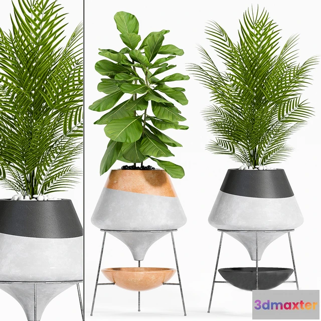 1607542 - decoration - PLANT SET-108 3D Max