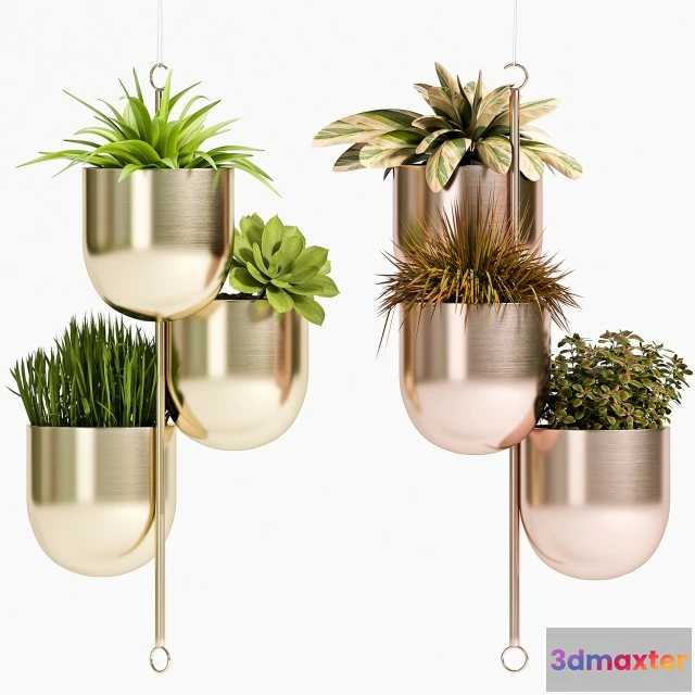 1607544 - decoration - PLANT SET -79 3D Max